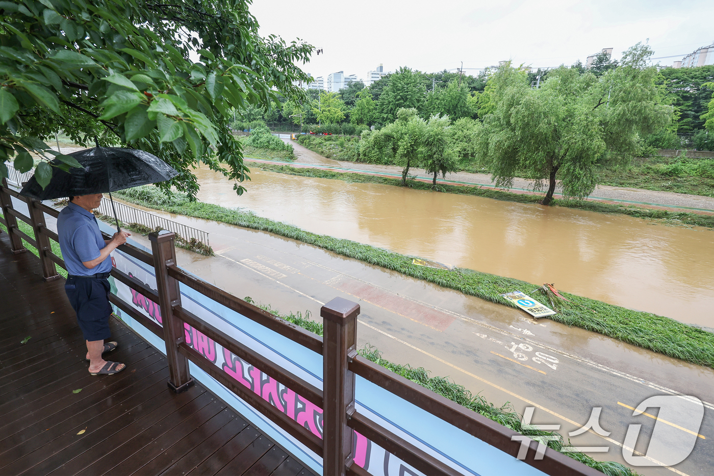(광명=뉴스1) 민경석 기자 = 19일 경기 광명시 목감천이 밤사이 내린 집중호우로 한때 범람해 산책로 일대에 토사가 밀려든 흔적이 남아 있다. 2025.7.19/뉴스1