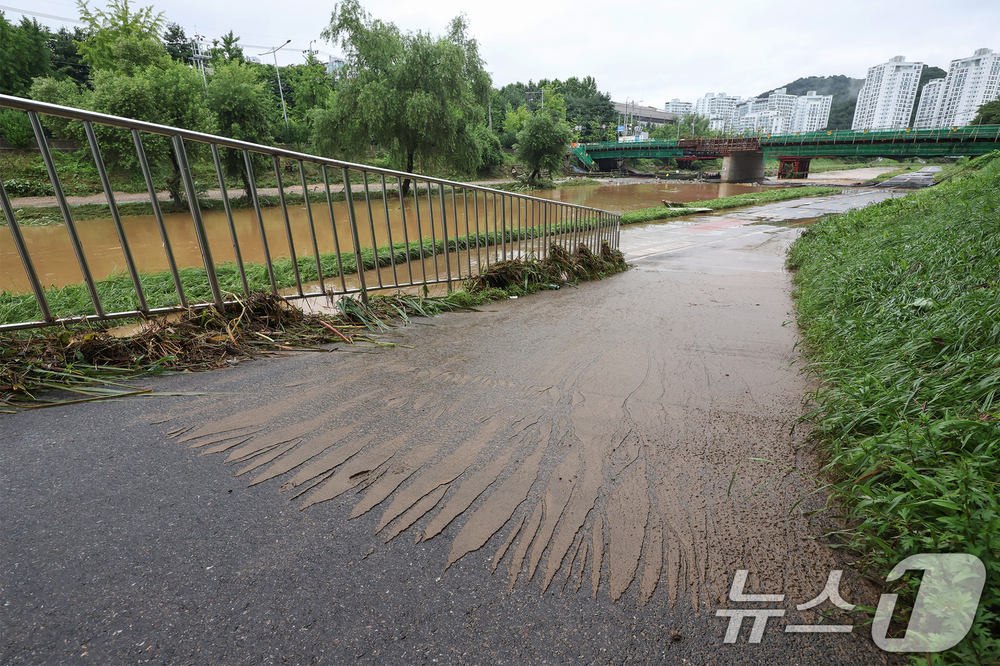 (광명=뉴스1) 민경석 기자 = 19일 경기 광명시 목감천이 밤사이 내린 집중호우로 한때 범람해 산책로 일대에 토사가 밀려든 흔적이 남아 있다. 2025.7.19/뉴스1