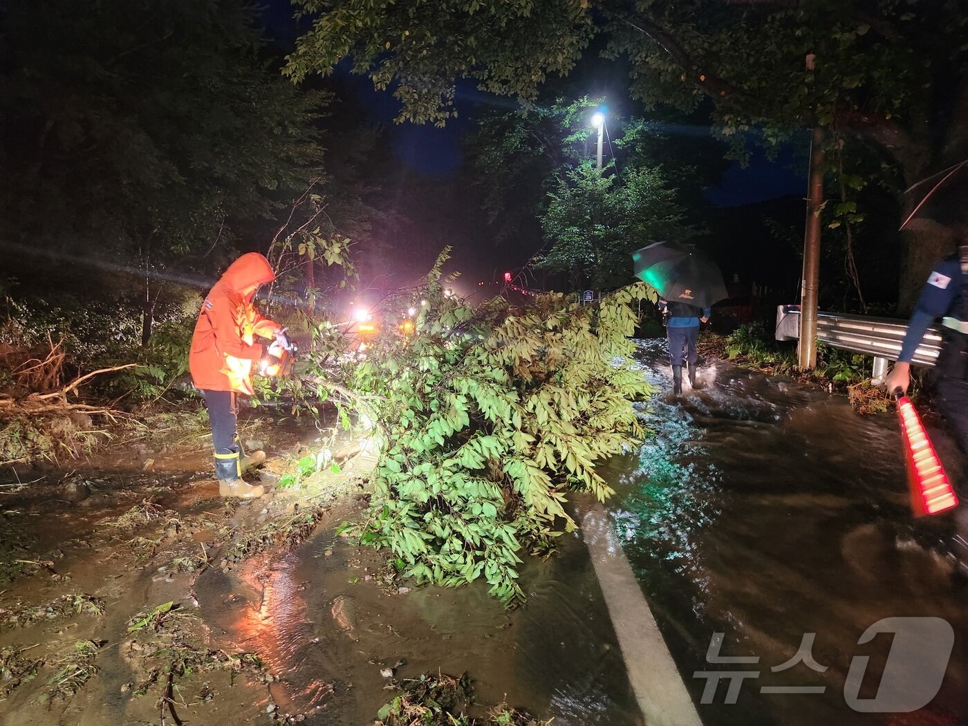 본문 이미지 - 19일 오전 전남 보성군 복내면의 한 도로에서 소방대원들이 집중호우로 인해 쓰러진 나무를 수습하고 있다.&#40;전남소방본부 제공. 재판매 및 DB 금지&#41; 2025.7.19/뉴스1 ⓒ News1 최성국 기자