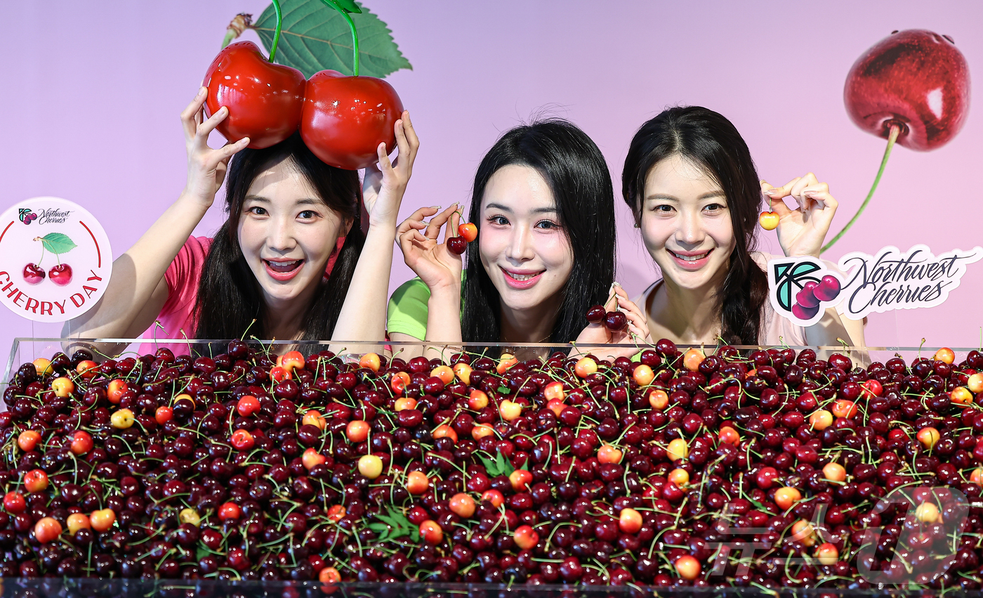 (서울=뉴스1) 김도우 기자 = 2일 서울 종로구 한 카페에서 열린 미국북서부 체리 출시기념 ‘체리데이’ 포토행사에서 모델들이 체리를 소개하고 있다. 2025.7.2/뉴스1