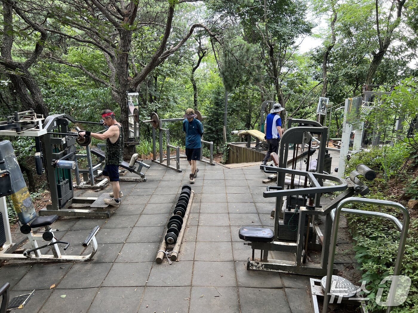 본문 이미지 - 서울 은평구 백련산 중턱에 위치한 체육 시설에서 등산객들이 운동을 하고 있다. 2025.7.2/뉴스1 ⓒ News1 심서현 기자