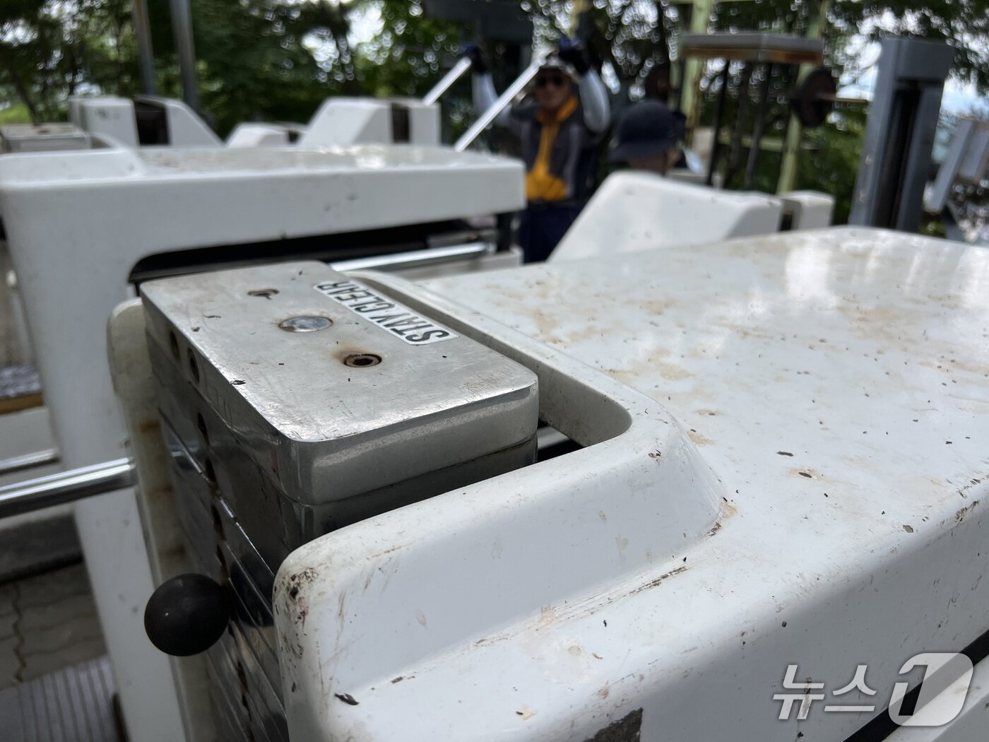 본문 이미지 - 2일 오전 서울 은평구 백련산에서 운동기구가 러브버그 사체로 인해 지저분해진 모습. 2025.07.2/ ⓒ 뉴스1 심서현 기자