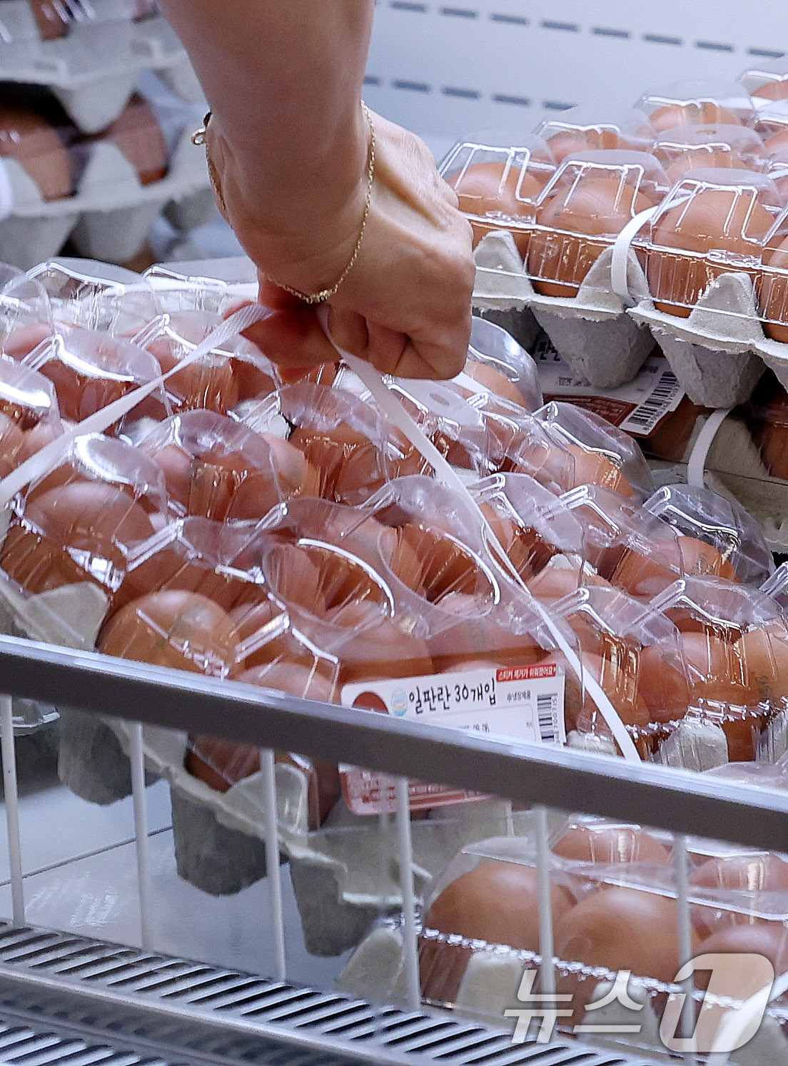 (서울=뉴스1) 박지혜 기자 = 2일 서울의 한 대형마트에 달걀이 진열돼 있다. 장바구니 필수 품목인 라면과 달걀 가격이 일제히 큰 폭으로 오르면서 체감 물가 부담이 커지고 있다. …