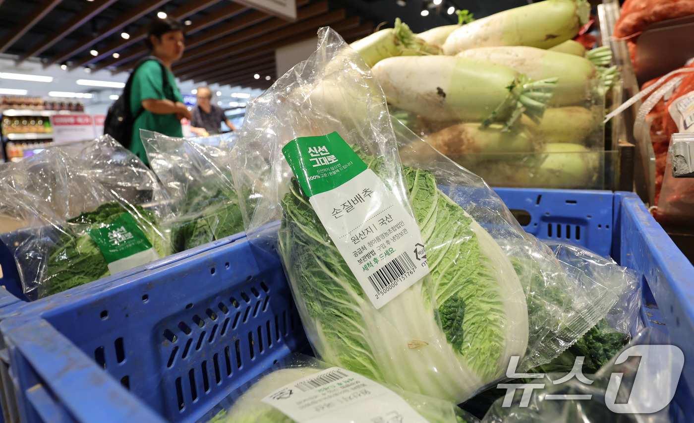 (서울=뉴스1) 박지혜 기자 = 2일 서울의 한 대형마트에 배추가 진열돼 있다. 정부가 추석 전까지 배추 3만6000t을 시장에 추가 공급하기로 했다.정부가 배추 가격의 안정을 위 …