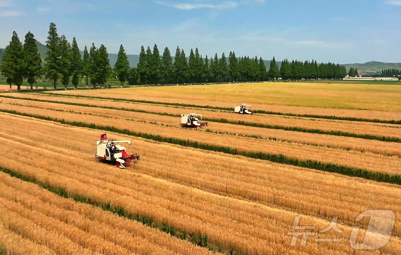 본문 이미지 - (평양 노동신문=뉴스1) = 북한 노동당 기관지 노동신문은 20일 "위대한 조선로동당이 펼친 농촌진흥의 새시대에 나라의 농업생산방향이 전환되는 대변혁이 일어나고 지속적이며 안정적인 장성을 담보하는 물질 기술적 토대가 더욱 강화되고 있다＂고 보도했다. [국내에서만 사용가능. 재배포 금지. DB 금지. For Use Only in the Republic of Korea. Redistribution Prohibited] rodongphoto@news1.kr