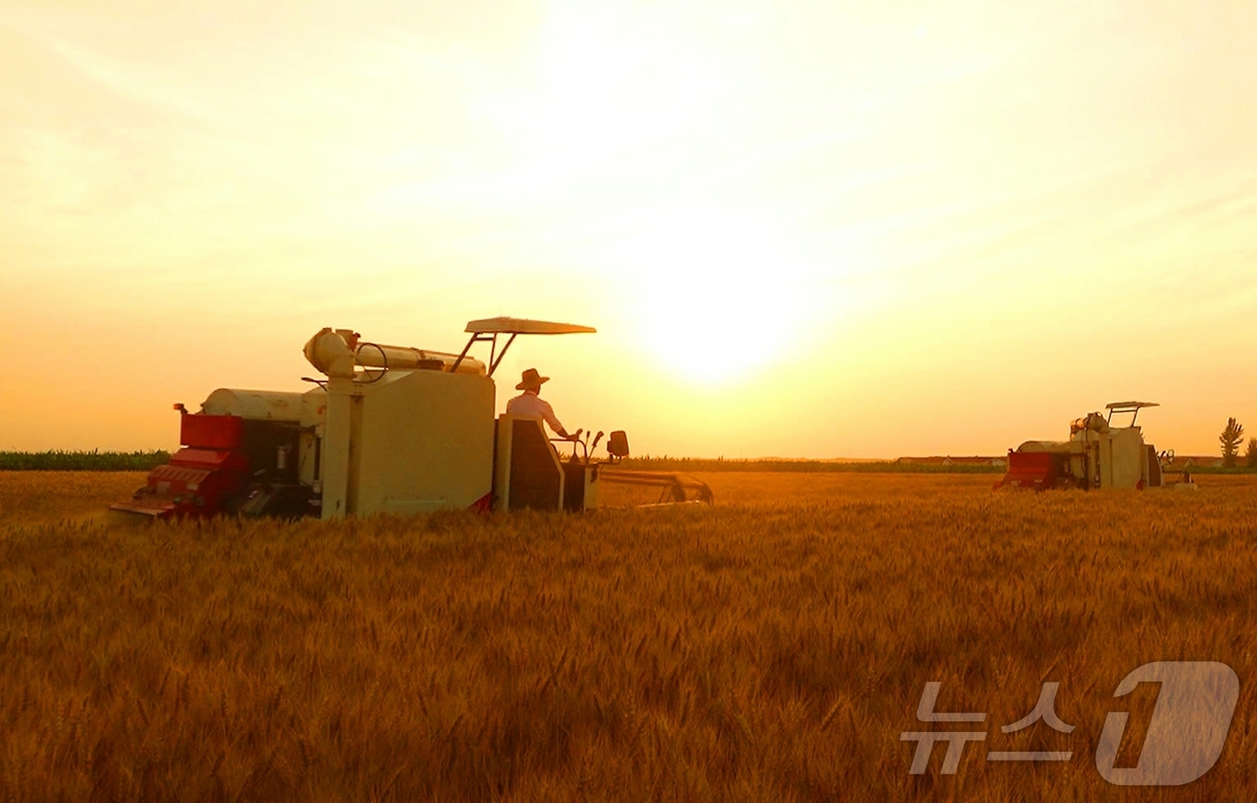 (평양 노동신문=뉴스1) = 북한 노동당 기관지 노동신문은 20일 "위대한 조선로동당이 펼친 농촌진흥의 새시대에 나라의 농업생산방향이 전환되는 대변혁이 일어나고 지속적이며 안정적인 …