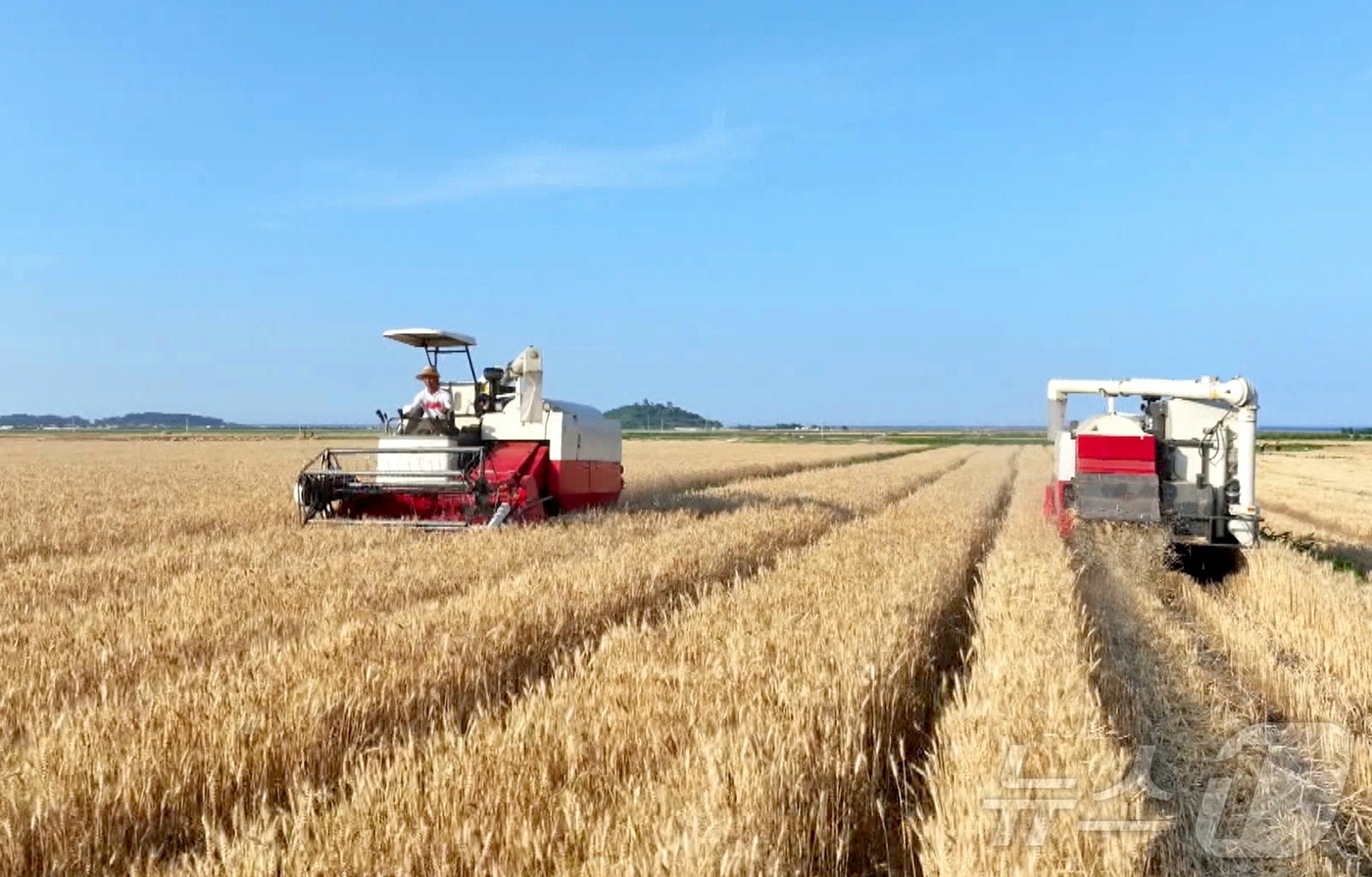 (평양 노동신문=뉴스1) = 북한 노동당 기관지 노동신문은 20일 "위대한 조선로동당이 펼친 농촌진흥의 새시대에 나라의 농업생산방향이 전환되는 대변혁이 일어나고 지속적이며 안정적인 …