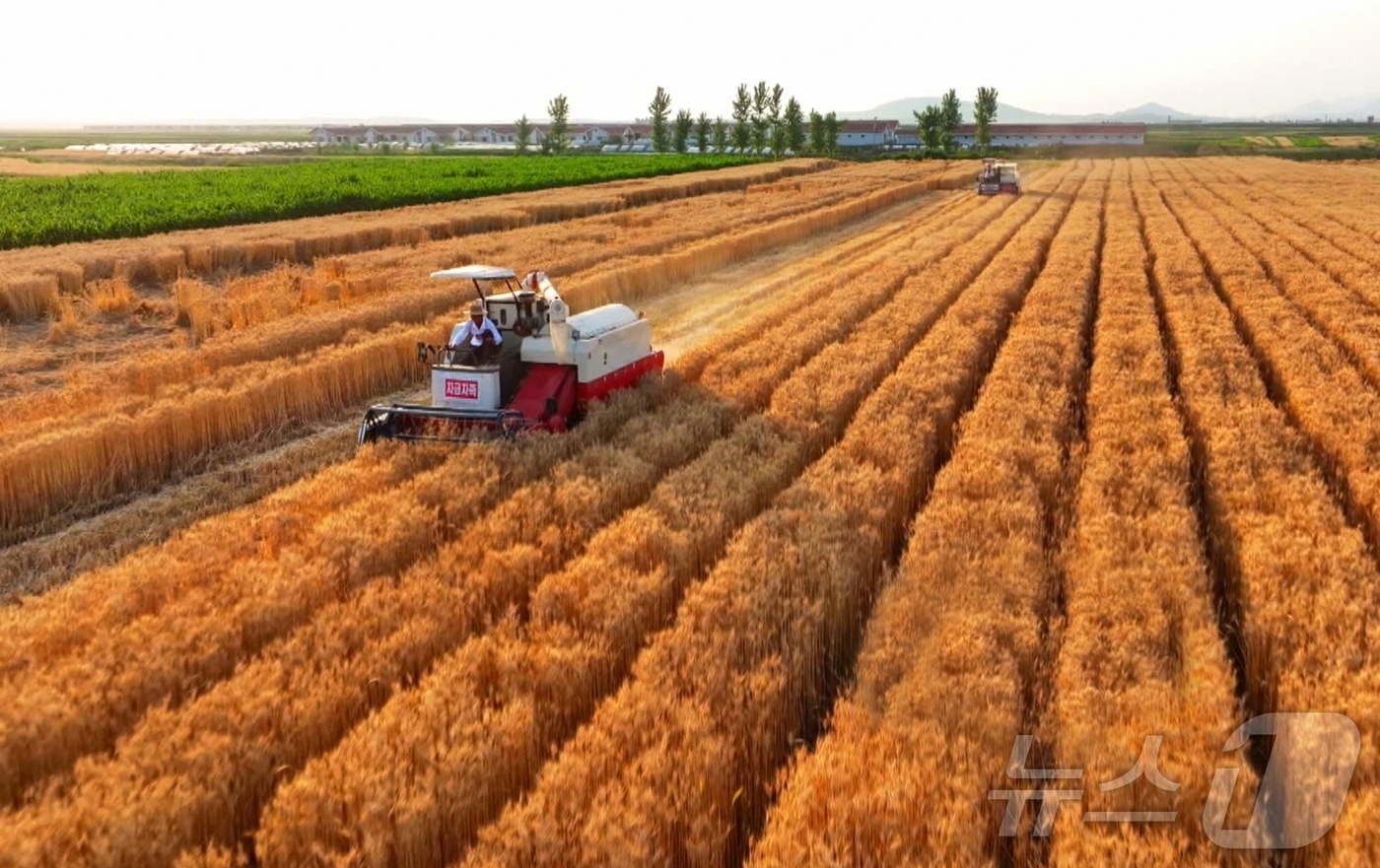(평양 노동신문=뉴스1) = 북한 노동당 기관지 노동신문은 20일 "위대한 조선로동당이 펼친 농촌진흥의 새시대에 나라의 농업생산방향이 전환되는 대변혁이 일어나고 지속적이며 안정적인 …