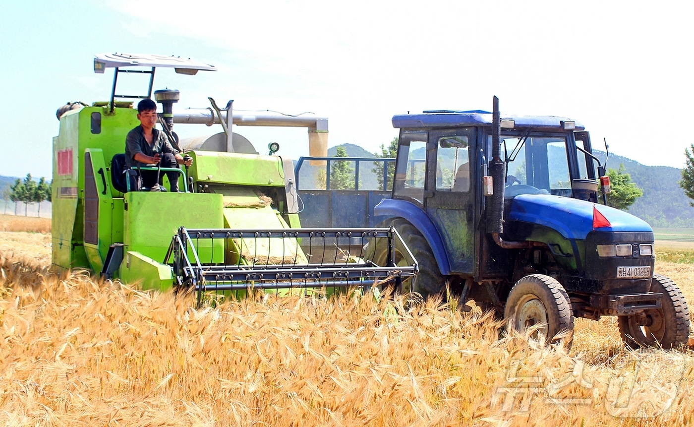 (평양 노동신문=뉴스1) = 북한 노동당 기관지 노동신문은 20일 "위대한 조선로동당이 펼친 농촌진흥의 새시대에 나라의 농업생산방향이 전환되는 대변혁이 일어나고 지속적이며 안정적인 …