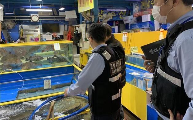 여름 보양식 인기 수산물 대상…내달 1일까지 원산지 표시 특별점검 실시