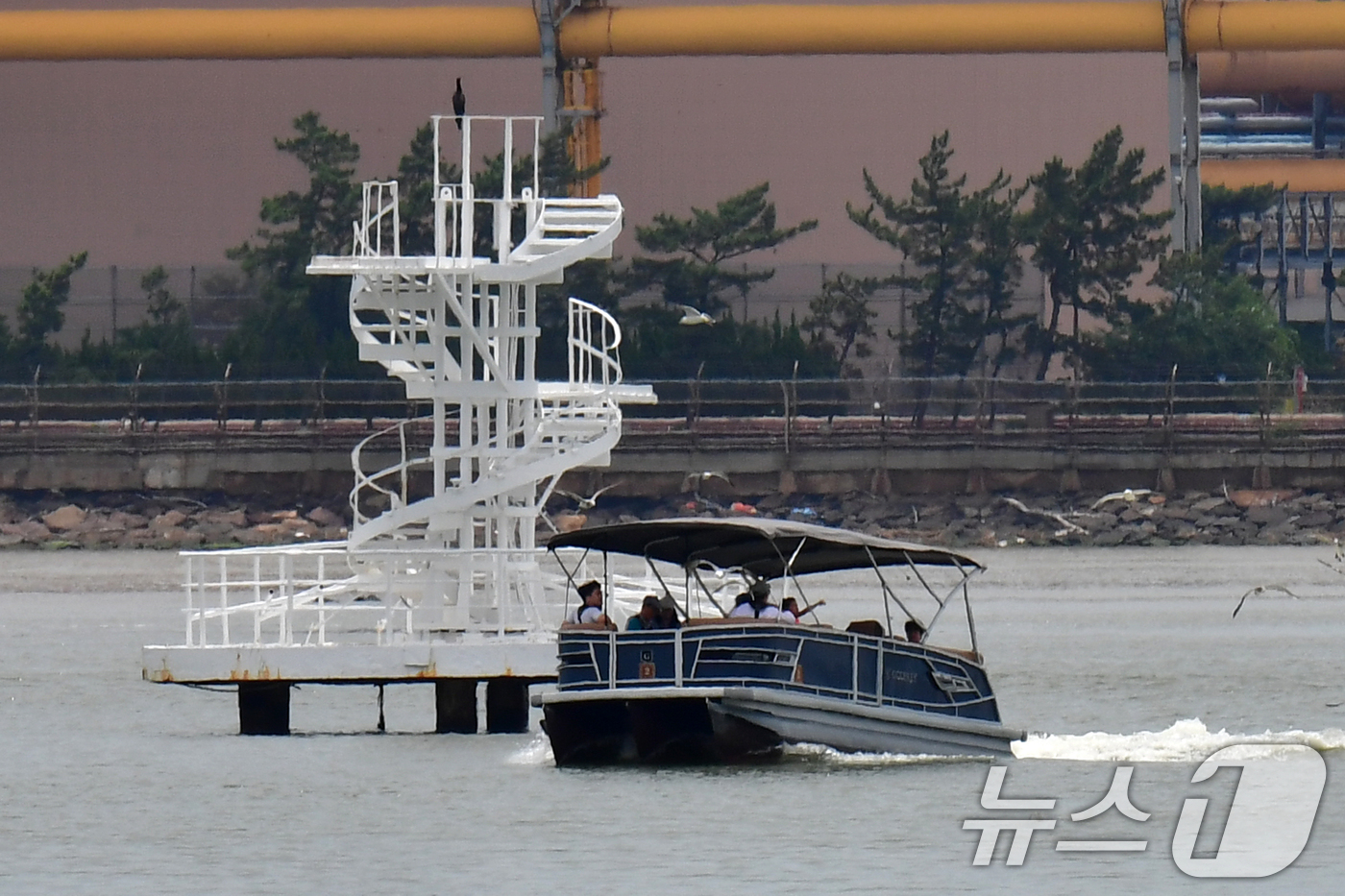 (포항=뉴스1) 최창호 기자 = 20일 경북 포항시 송도해수욕장 앞 바다에서 포항운하 크루즈 선이 다이빙대 앞으로 지나가고 있다. 2025.7.20/뉴스1