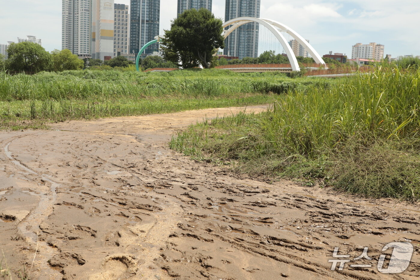 본문 이미지 - 20일 울산 태화강 국가정원에 전날 내린 집중호우로 인해 진흙이 빗길 따라 흩어져 있다.2025.7.20./뉴스1 ⓒ News1 김세은 기자