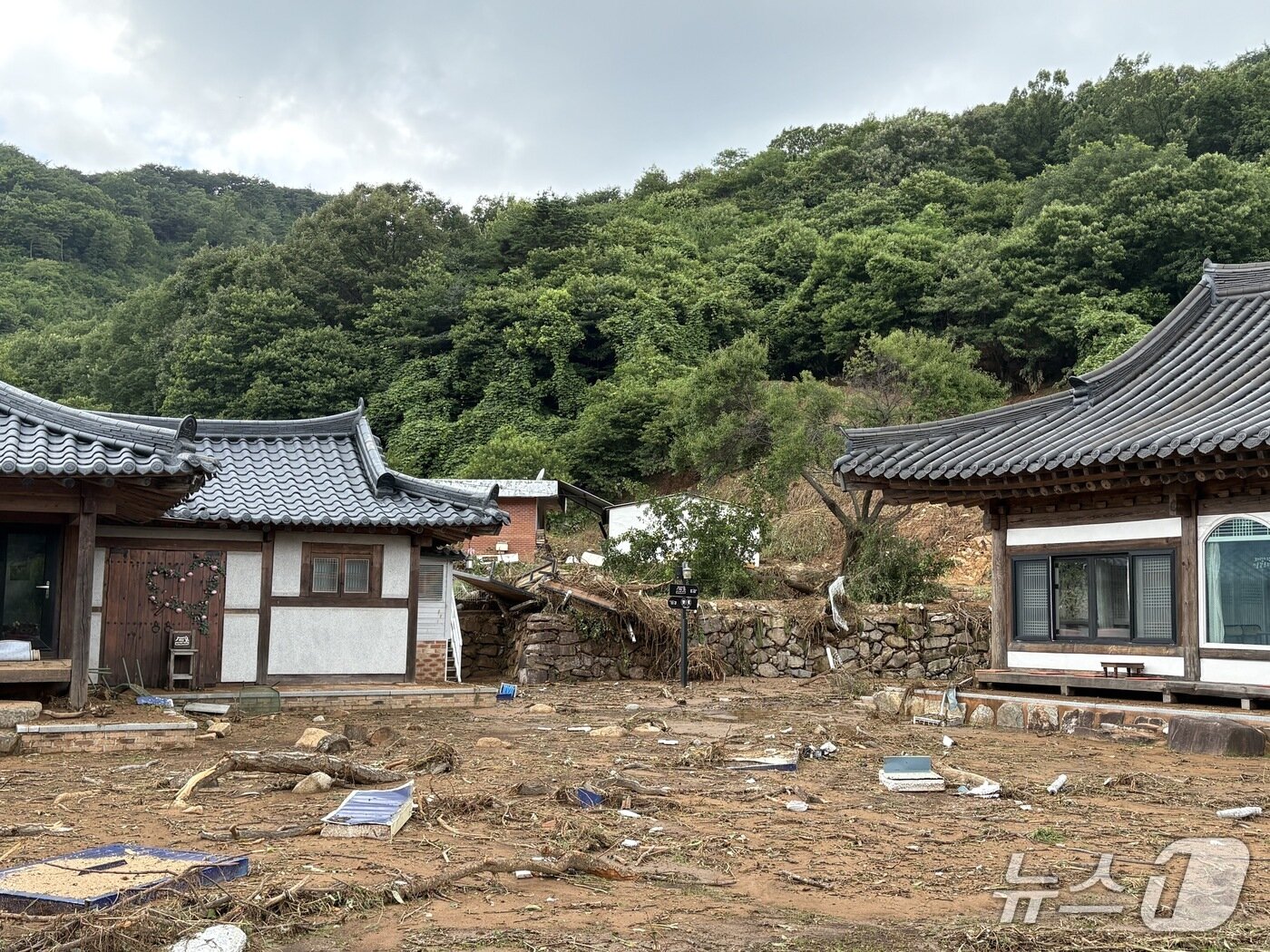 본문 이미지 - 엉망이 된 카페 정원.2025.07.20/뉴스1 강미영기자