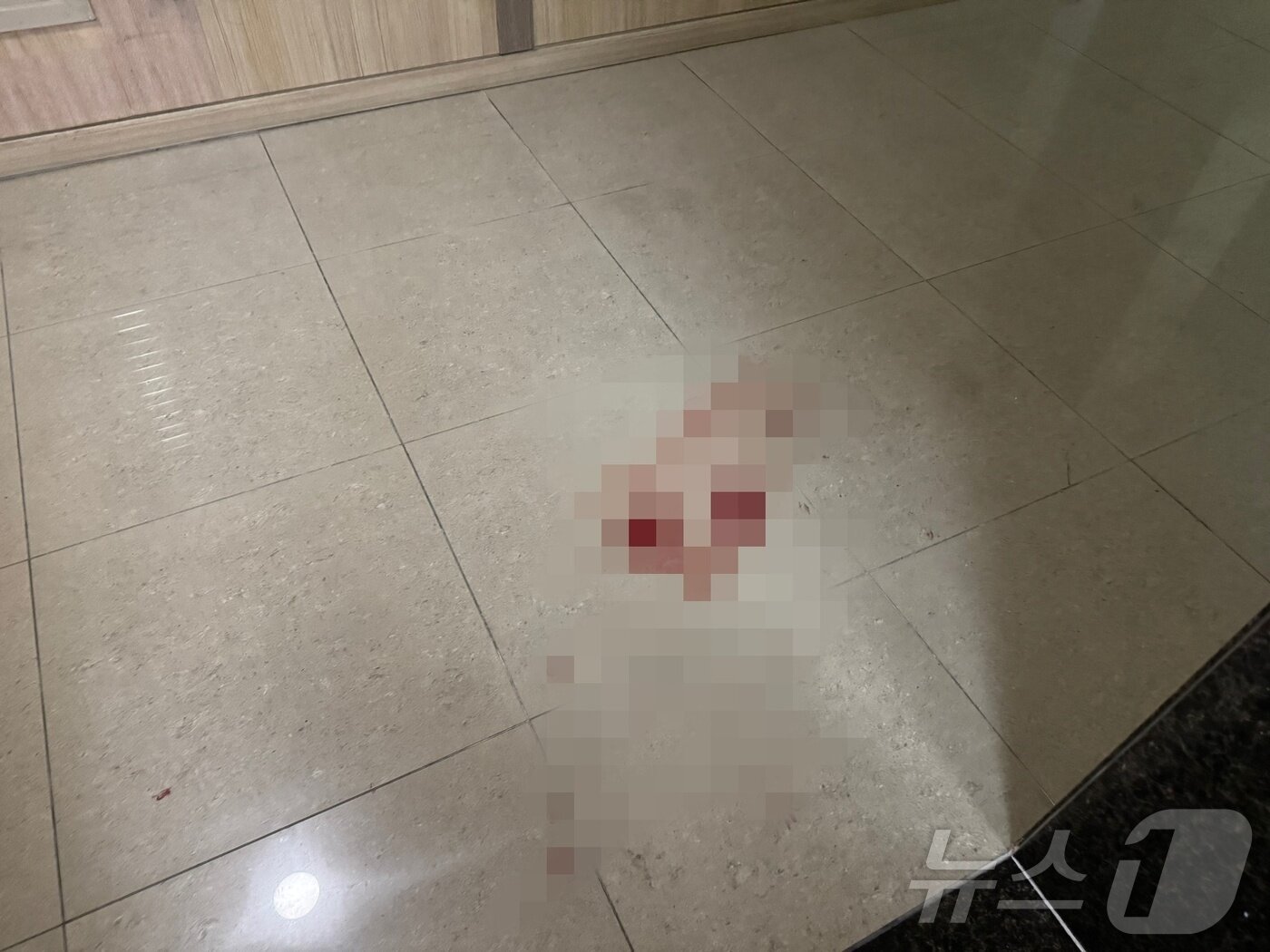 본문 이미지 - 21일 총기 사고가 발생한 인천시 송도국제도시 한 아파트 현장에 혈흔이 묻어있다. 2025.7.21/뉴스1 ⓒ News1 박소영 기자