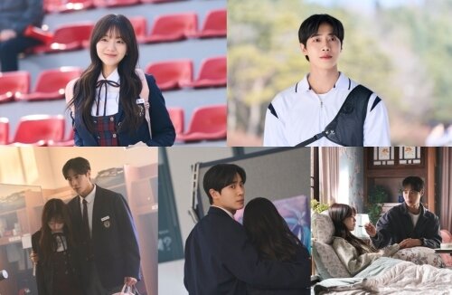 본문 이미지 - tvN