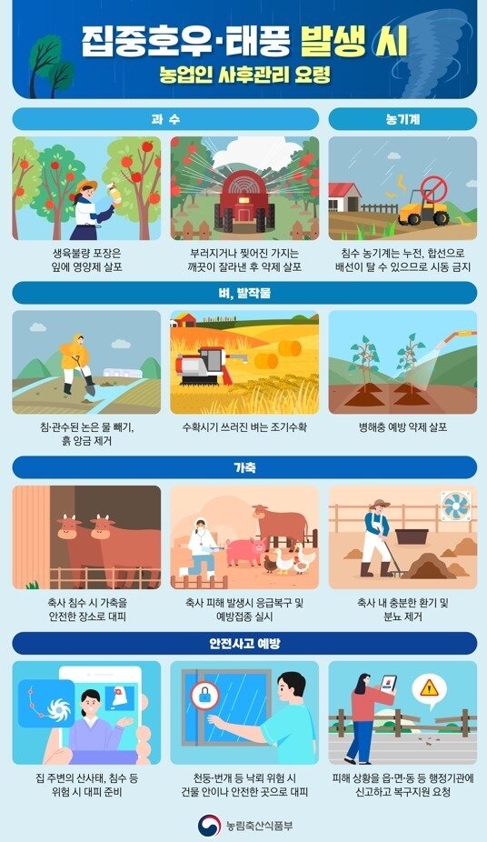 본문 이미지 - 호우·태풍 발생 시 농업인 사후관리 요령 &#40;농림축산식품부 제공&#41;