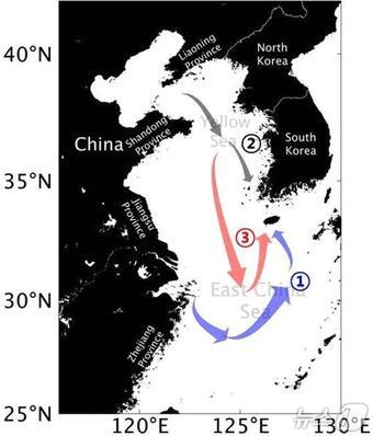 본문 이미지 - KIOST 연구팀이 규명한 괭생이모자반의 주요 이동 경로&#40;한국해양과학기술원 제공&#41;