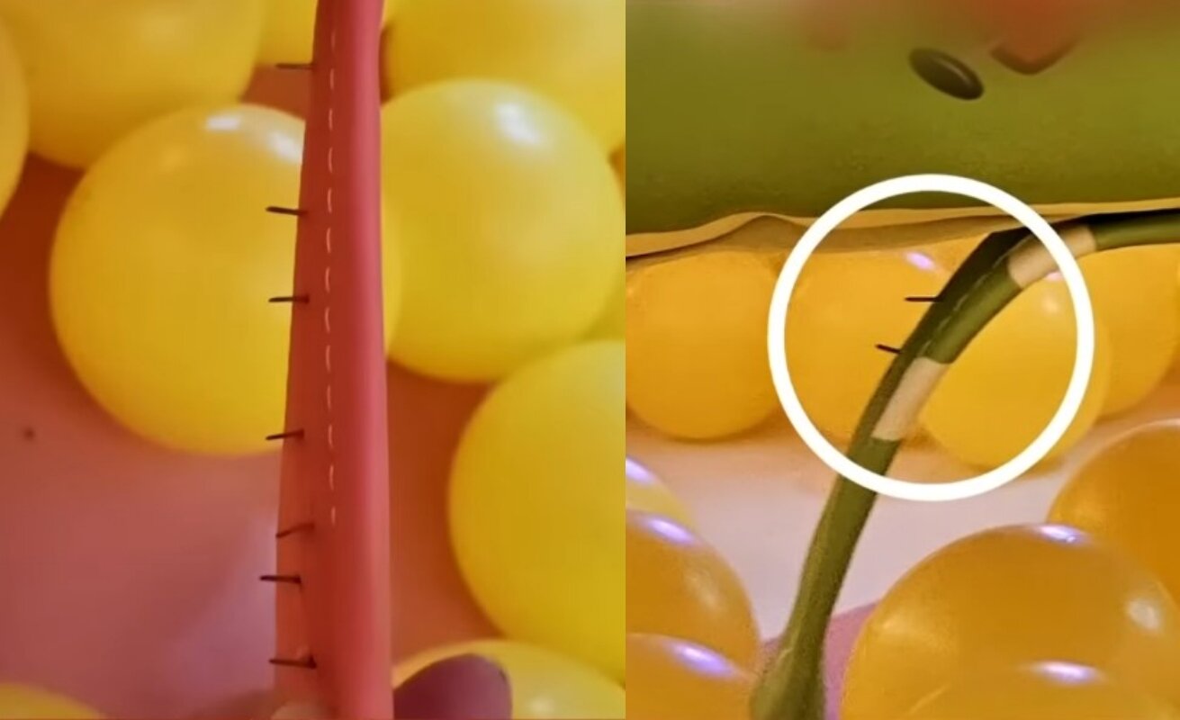 본문 이미지 - (JTBC '사건반장')