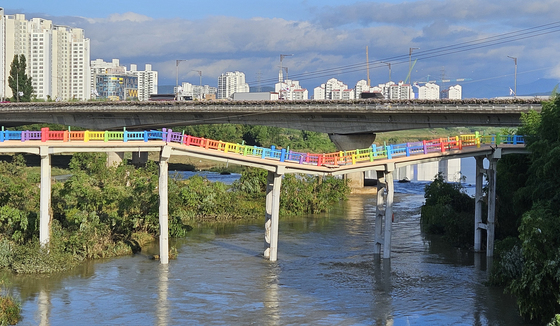 삼호교 '무단 보행' 잦자…울산 중구, 임시 통행로 만든다
