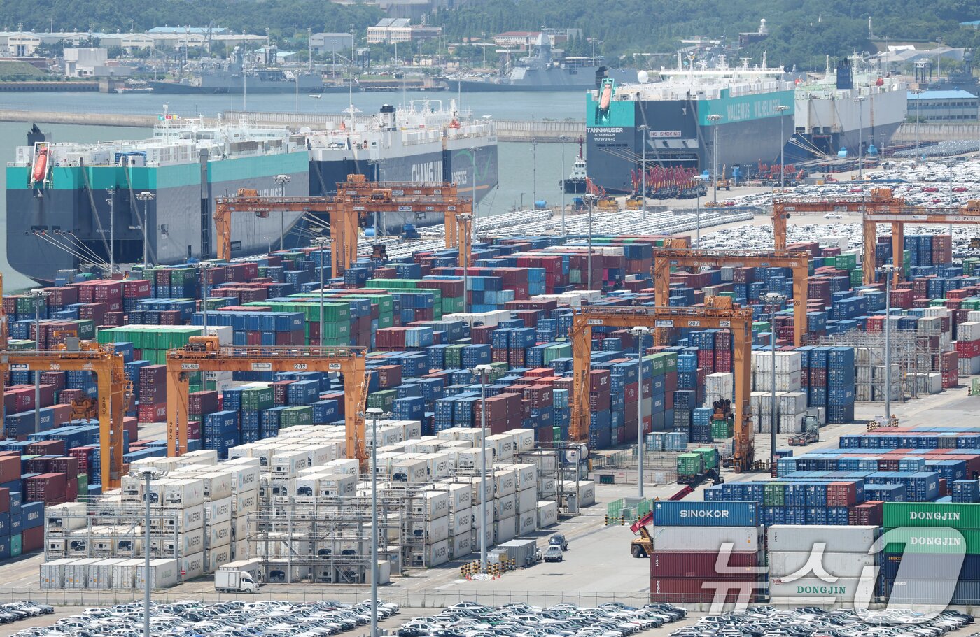 본문 이미지 - 경기 평택시 포승읍 평택항에 수출용 컨테이너들이 세워져 있는 모습. 2025.7.21/뉴스1 ⓒ News1 김영운 기자