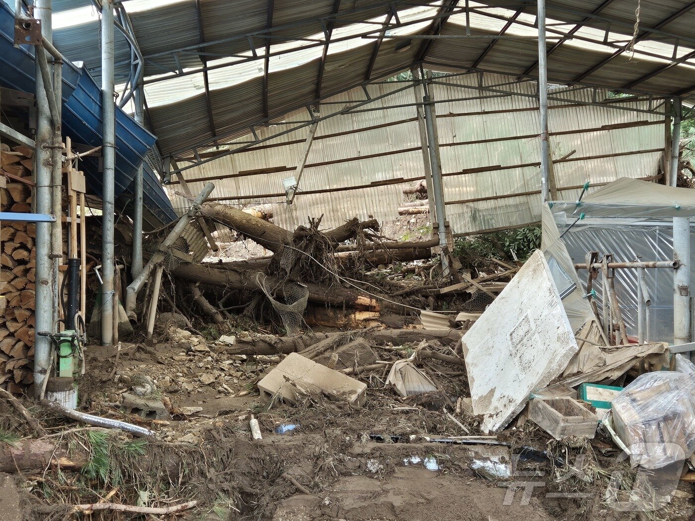 본문 이미지 - 21일 경기 가평군 조종면 마일1리 한 창고가 전날 발생한 산사태로 붕괴됐다. 2025.7.21/뉴스1 ⓒ News1 양희문 기자