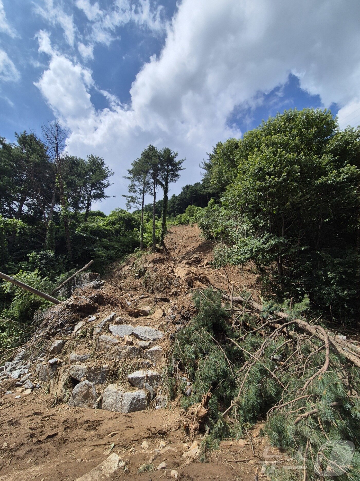 본문 이미지 - 21일 경기 가평군 조종면 마일1리가 전날 발생한 산사태로 전봇대가 쓰러지고 도로가 유실되는 등 큰 피해를 입었다.2025.07.21/뉴스1 ⓒ News1 양희문 기자