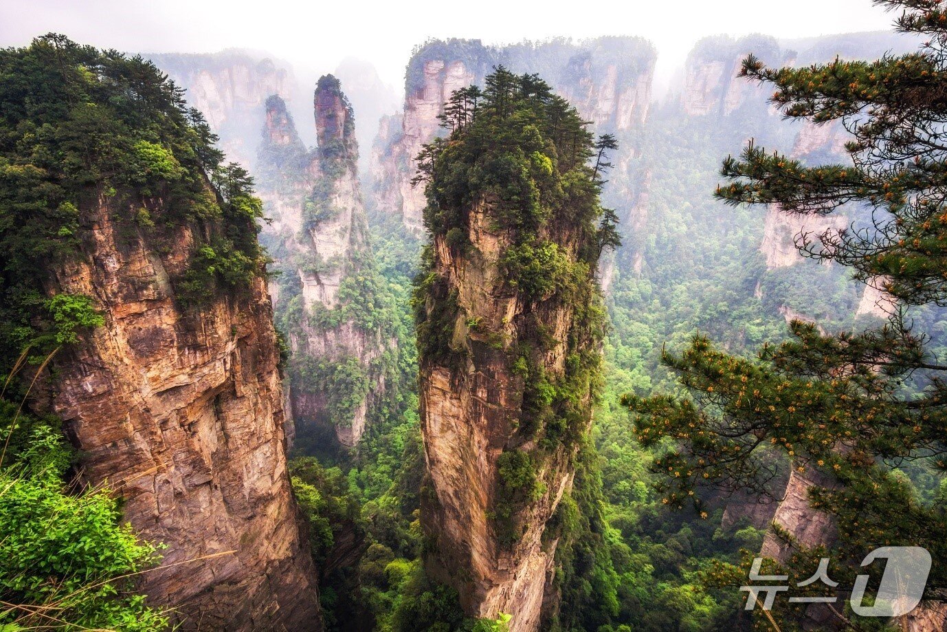 본문 이미지 - 중국 장자제&#40;노랑풍선 제공&#41;