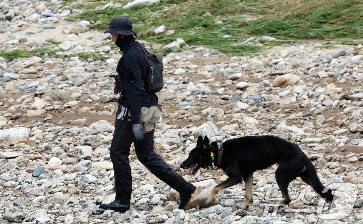 본문 이미지 - 21일 경기도 가평군 조종면 대보교 수해현장에서 경찰이 실종자 수색작업을 하고 있다. 2025.7.21/뉴스1 ⓒ News1 김명섭 기자