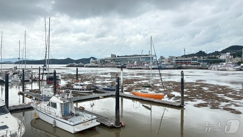본문 이미지 - 전남 목포항 일대 쌓인 해양쓰레기.(전남도 제공. 재판매 및 DB 금지)