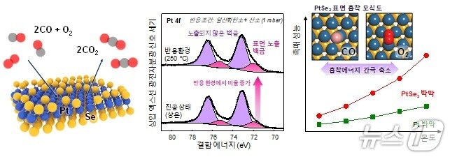 본문 이미지 - 사진 (왼쪽) PtSe2 표면에서 진행되는 일산화탄소 산화 반응에 대한 모식도. (가운데) 진공상태와 일산화탄소 산화반응 환경에서 연속적으로 진행된 상압 엑스선 광전자분광 분석. (오른쪽 위) PtSe2 표면에 흡착한 일산화탄소와 산호의 흡착을 보여주는 모식도. (오른쪽 아래) 온도에 따른 PtSe2 박막과 백금 박막의 일산화탄소 산화 반응 성능 비교. (KAIST 제공. 재판매 및 DB금지)2025.7.21/뉴스1
