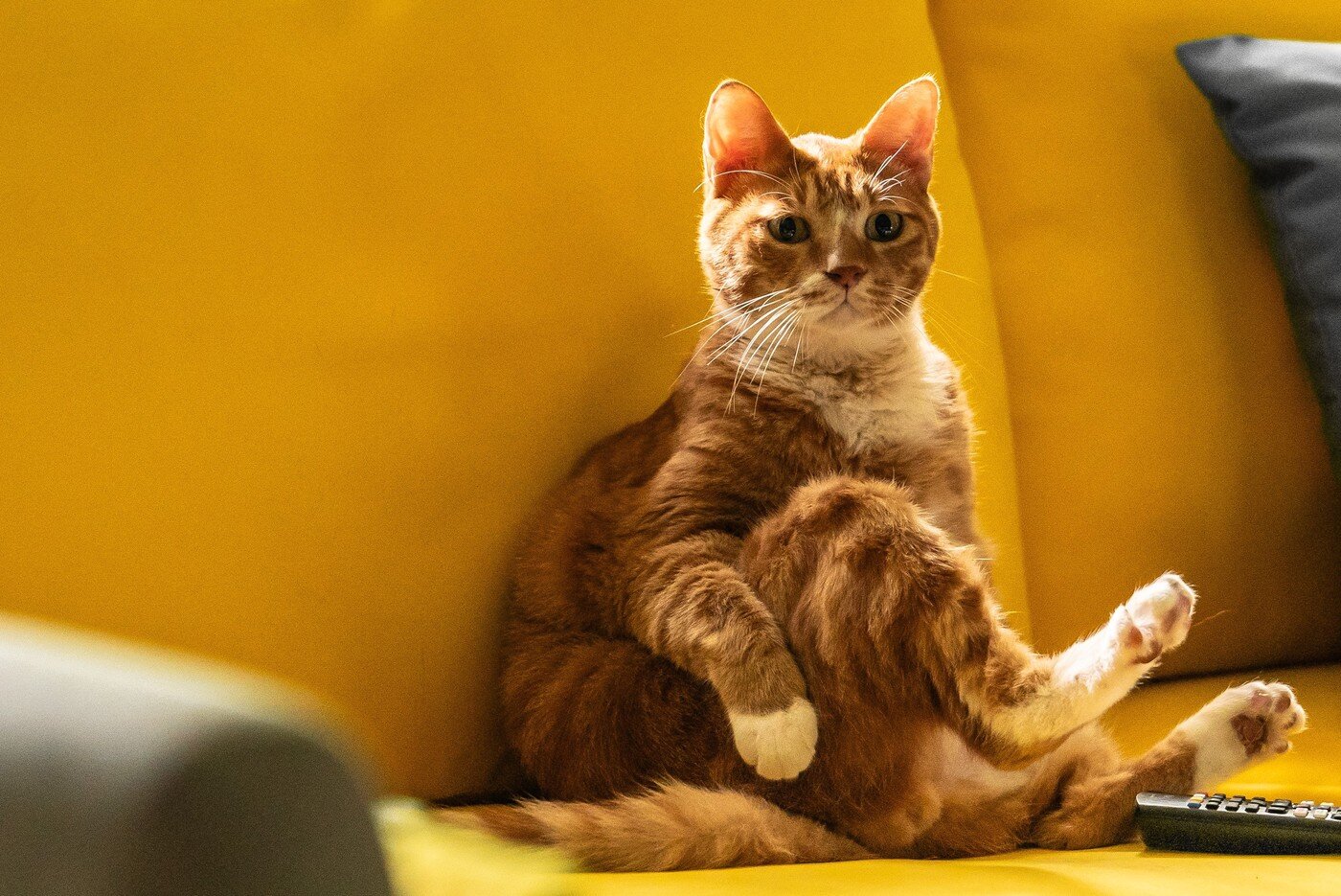 본문 이미지 - '좀비딸' 스틸 컷