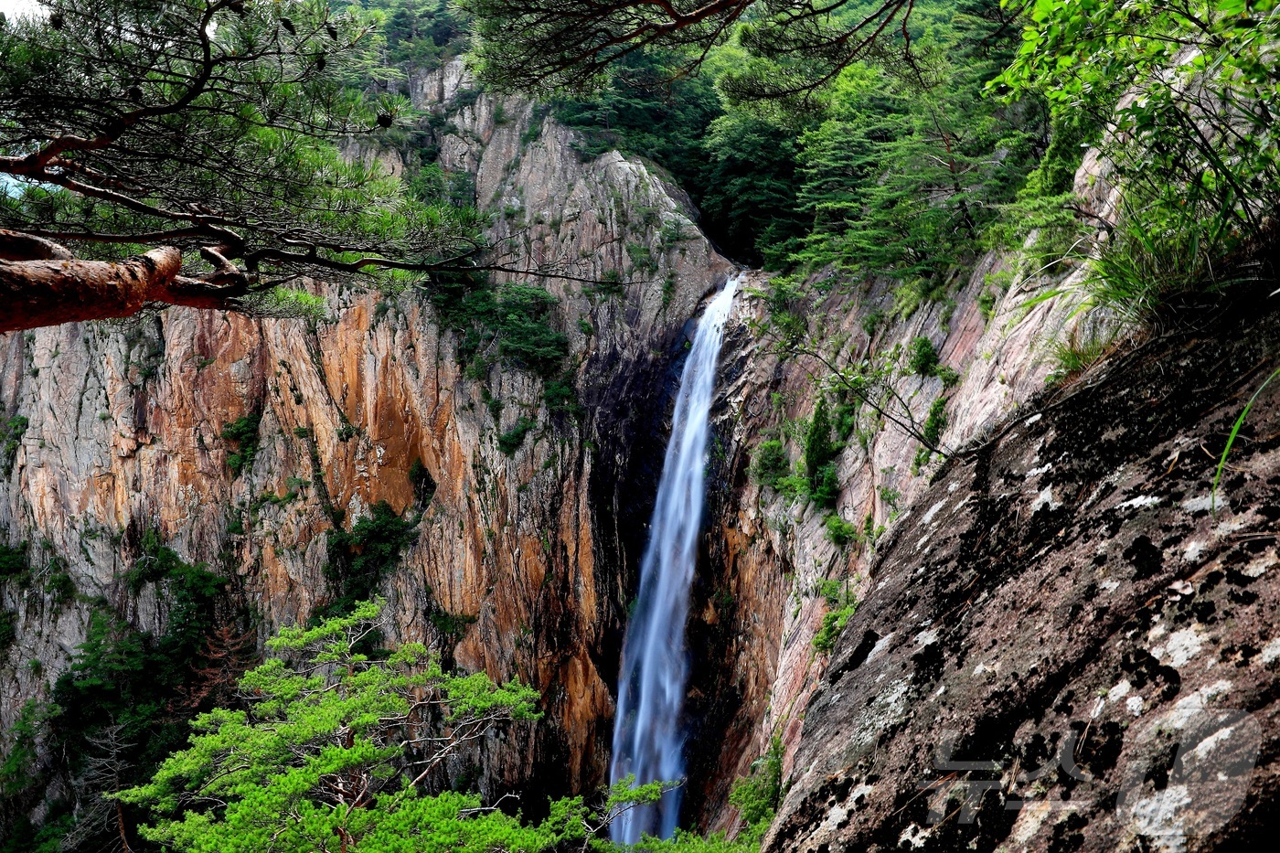 (인제=뉴스1) 이종재 기자 = 한국의 3대 폭포로 일컬어지는 설악산 대승폭포가 지난 21일 짙푸른 녹음과 함께 비경을 자랑하고 있다. 설악산 대승폭포는 강원 인제군 북면 한계리에 …