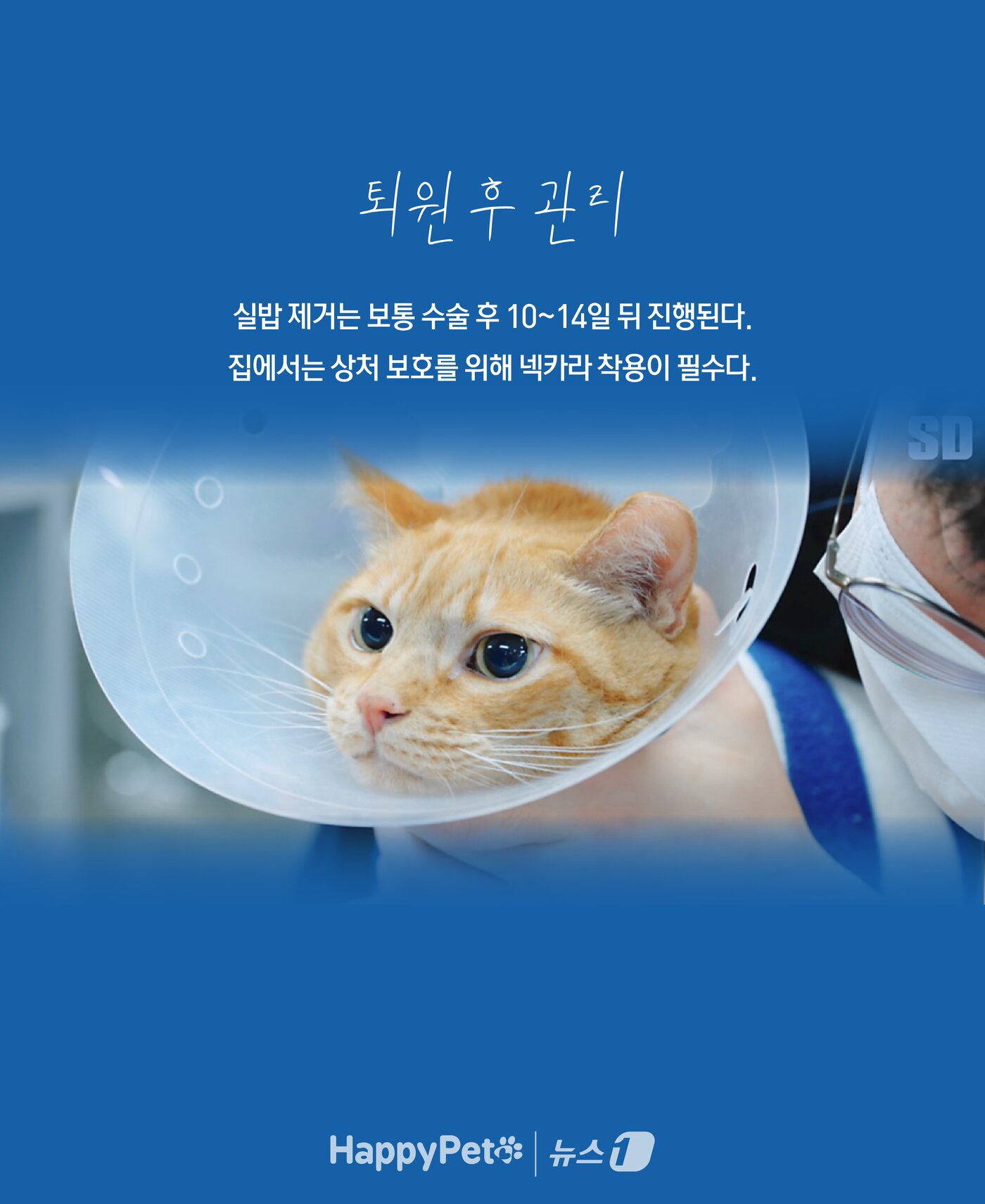 본문 이미지 - ⓒ News1 윤주희 디자이너