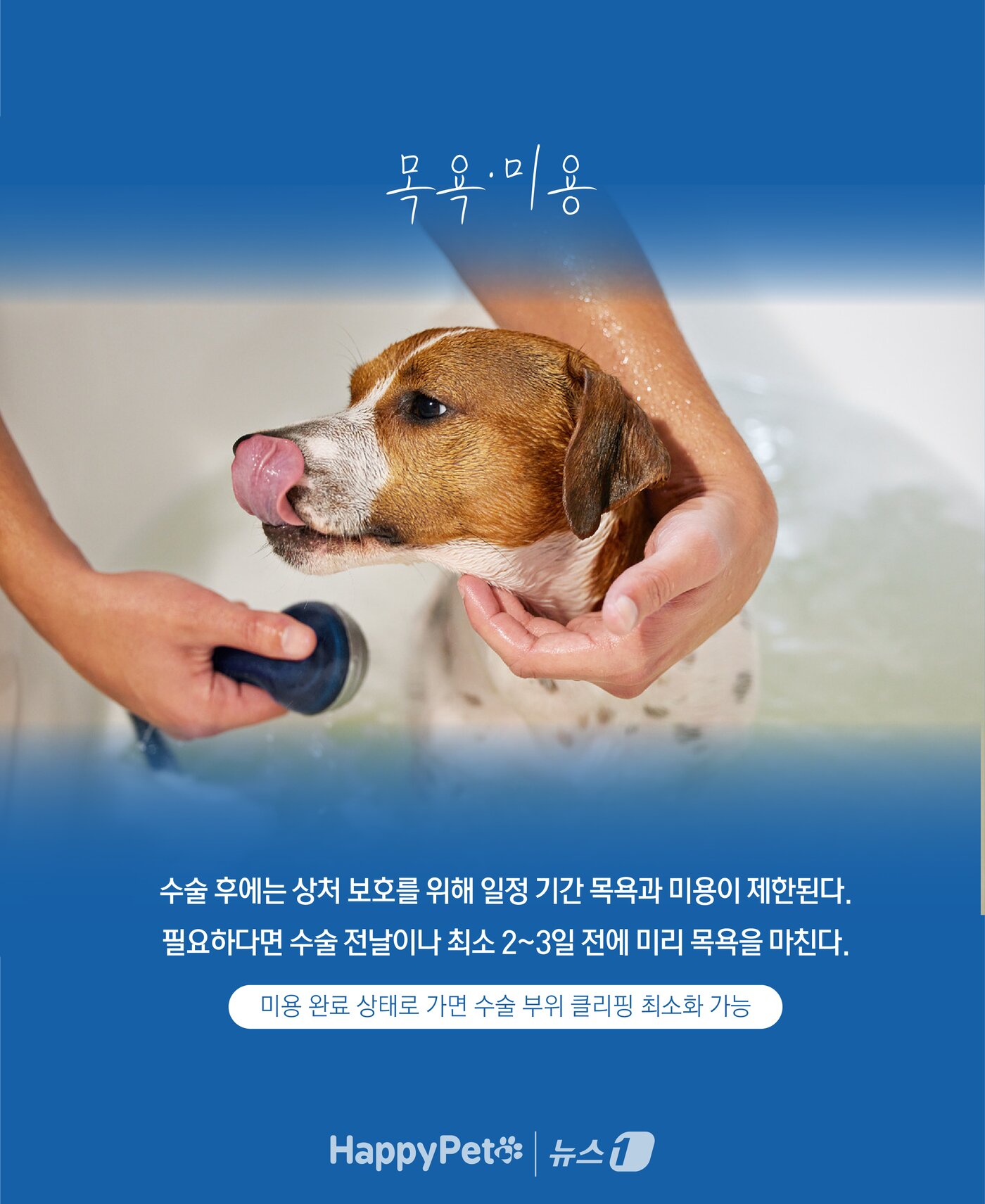 본문 이미지 - ⓒ News1 윤주희 디자이너