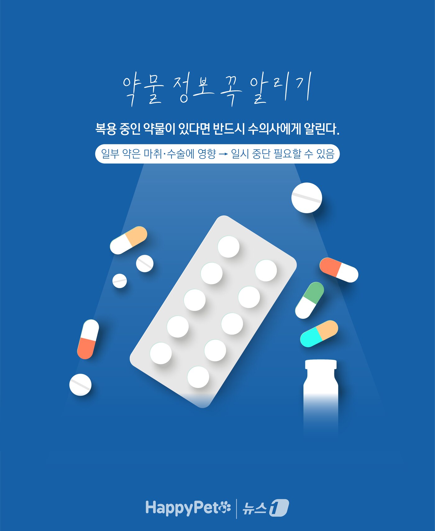 본문 이미지 - ⓒ News1 윤주희 디자이너