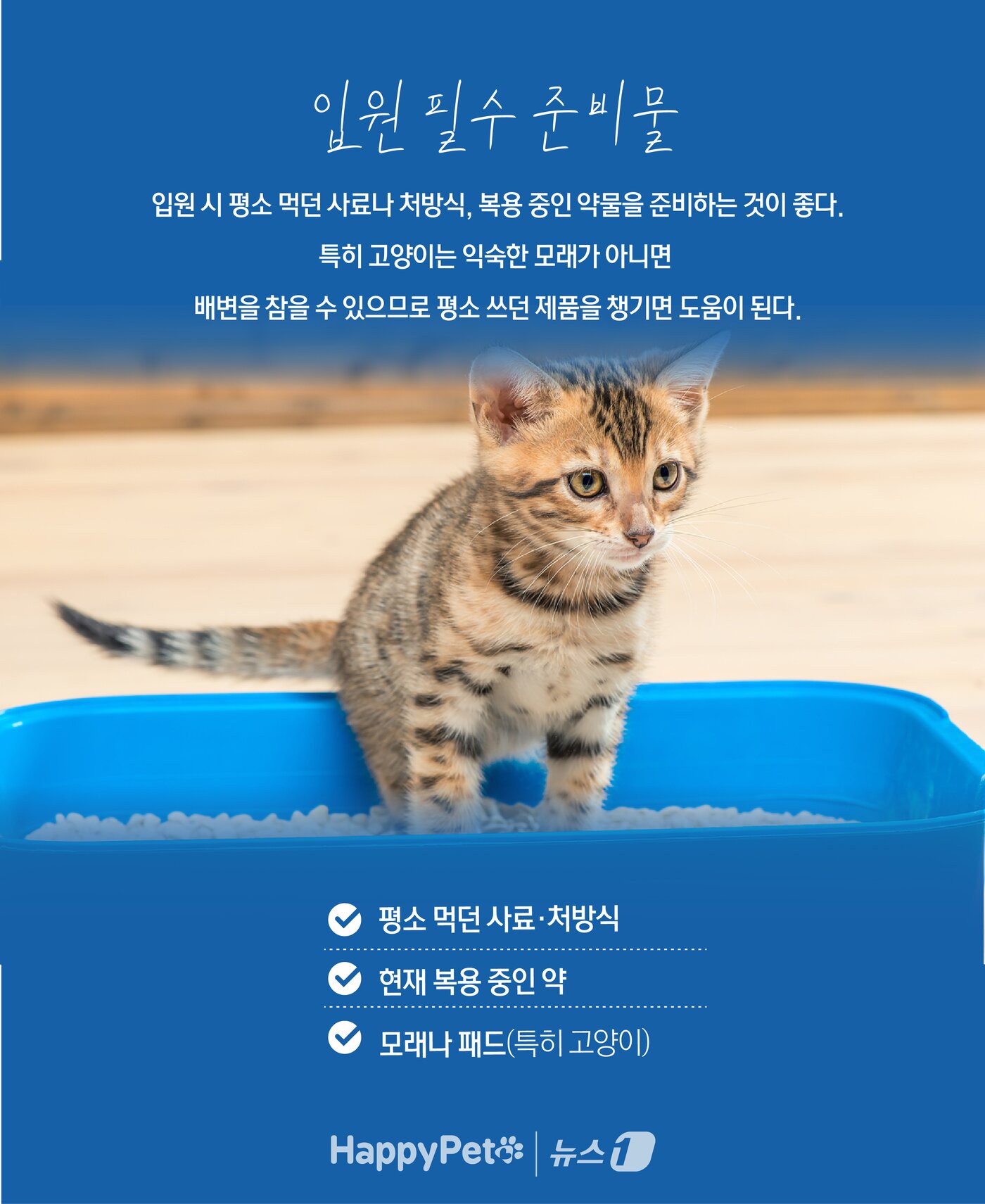 본문 이미지 - ⓒ News1 윤주희 디자이너