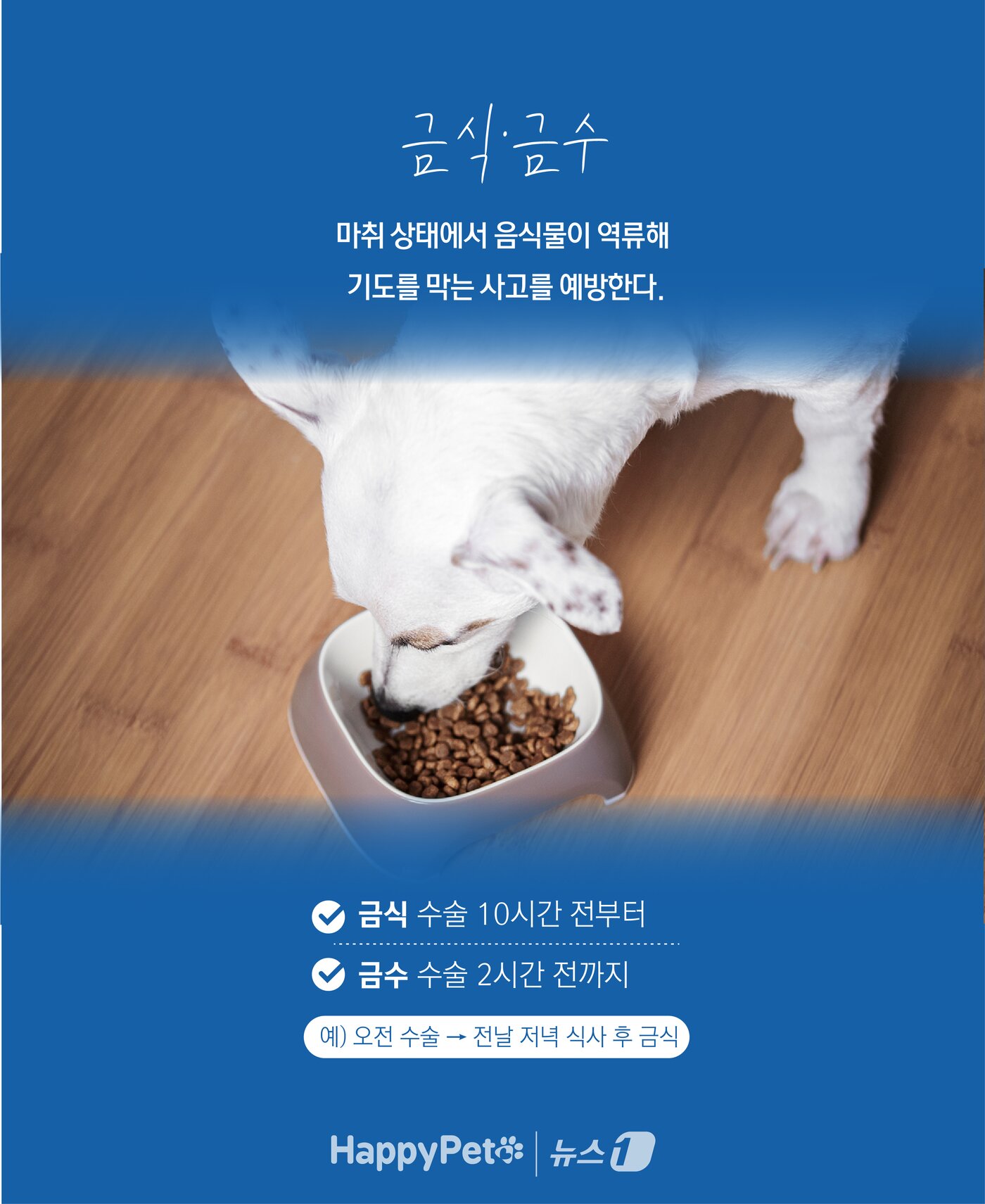 본문 이미지 - ⓒ News1 윤주희 디자이너