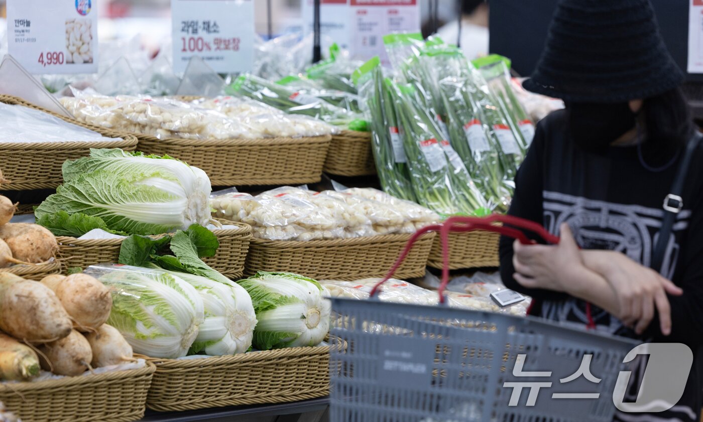 본문 이미지 - 서울 시내 대형마트에 배추가 진열돼 있다. (자료사진) /뉴스1 ⓒ News1 이승배 기자