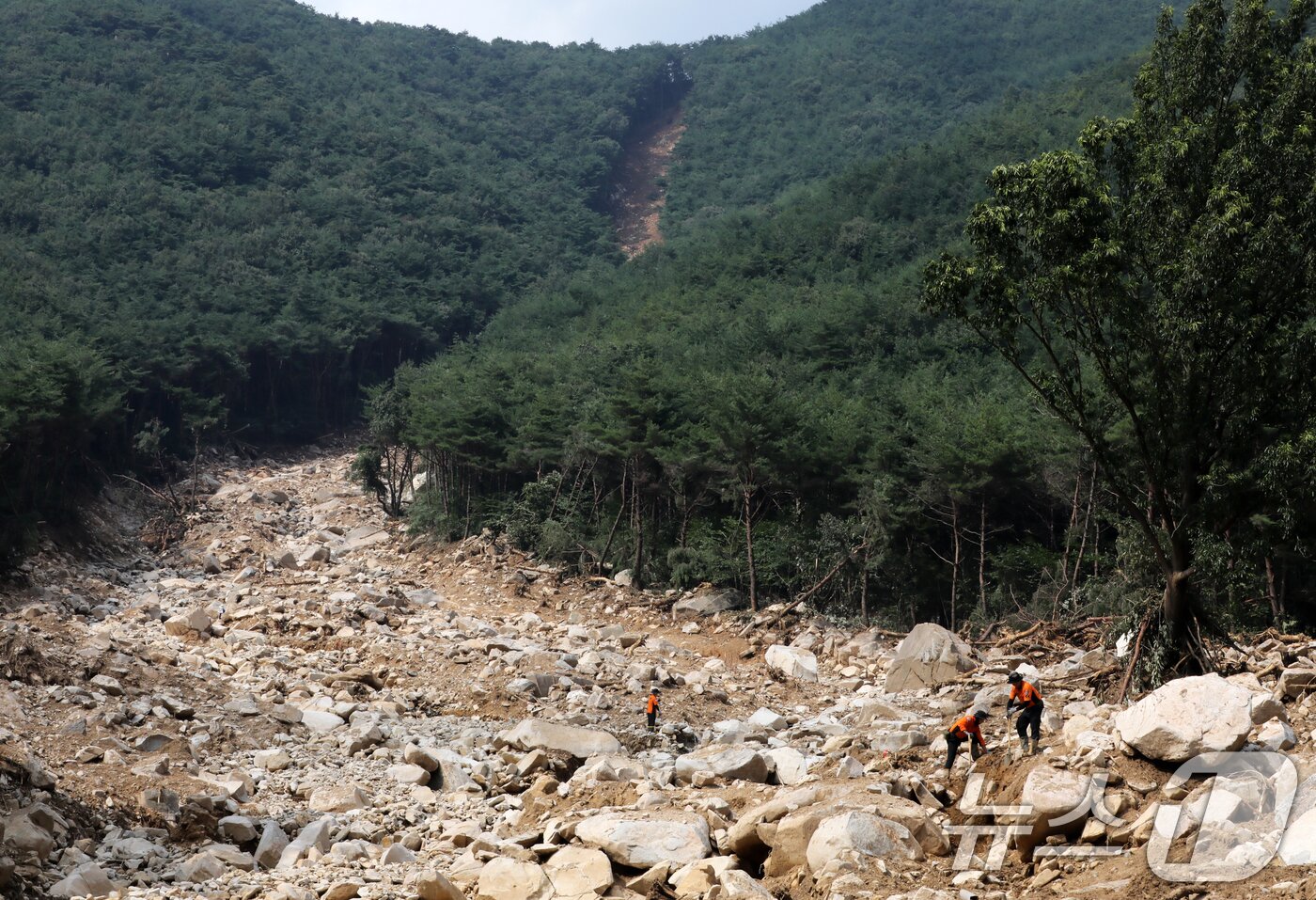본문 이미지 - 22일 폭우와 산사태 피해를 입은 경남 산청군 신안면 외송리 경호강휴게소 인근에서 실종자 수색작업이 이뤄지고 있다. 이 곳 인근 신안암에서는 80대 스님 1명이 연락이 끊겨 실종된 상태다. 2025.7.22/뉴스1 ⓒ News1 윤일지 기자
