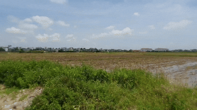 본문 이미지 - 베트남 끼엔장 신도시 개발 예정 부지.2025.7.18/뉴스1 ⓒ News1 조용훈 기자