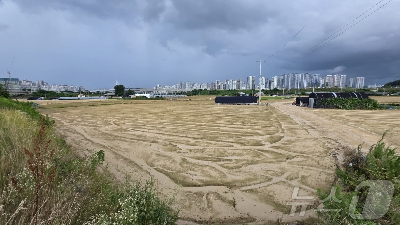 (아산=뉴스1) 이시우 기자 = 22일 충남 아산 배방읍 세교리의 침수 피해를 입은 밭이 물이 빠지자 토사로 뒤덮인 모습을 보이고 있다.이 지역에는 지난 16일부터 이틀 동안 35 …