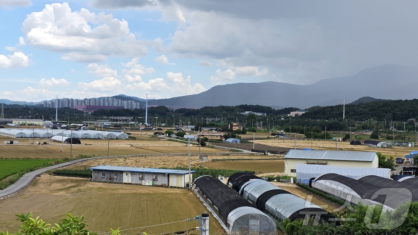 (아산=뉴스1) 이시우 기자 = 22일 충남 아산 배방읍 세교리의 침수 피해를 입은 밭이 물이 빠지자 토사로 뒤덮인 모습을 보이고 있다.이 지역에는 지난 16일부터 이틀 동안 35 …