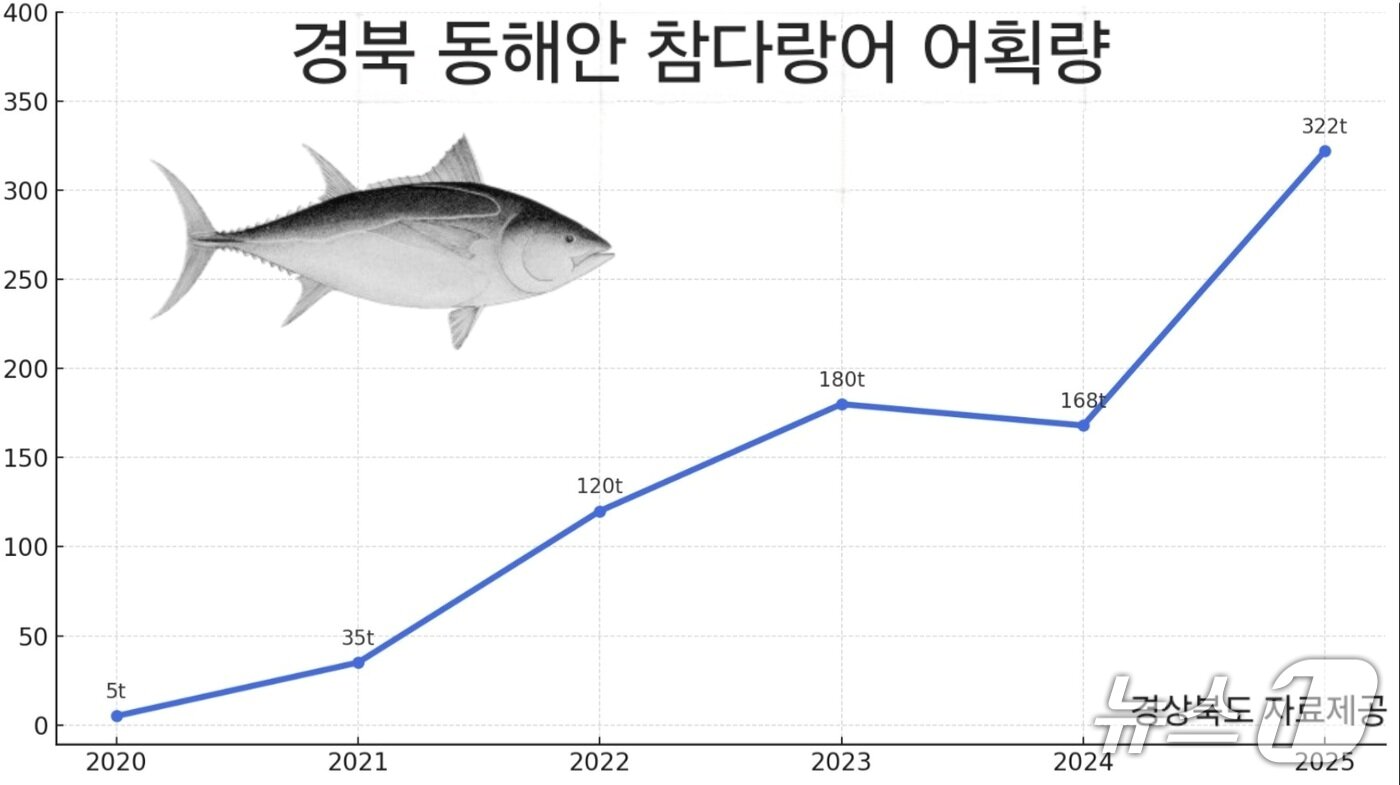 본문 이미지 - 경북 동해안 참다랑어 어획량 그래프.(경북도 제공. 재판매 및 DB 금지)2025.7.23/뉴스1