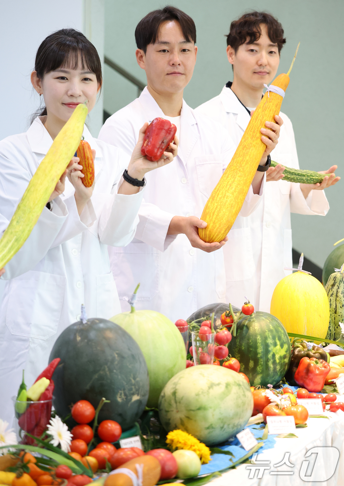 (전주=뉴스1) 유경석 기자 = 23일 전북 전주시 농촌진흥청 농업유전자원센터에서 열린 2025 원예자원 현장평가회에서 연구원들이 수요자와 함께 선발한 우수 유전자원을 선보이고 있 …