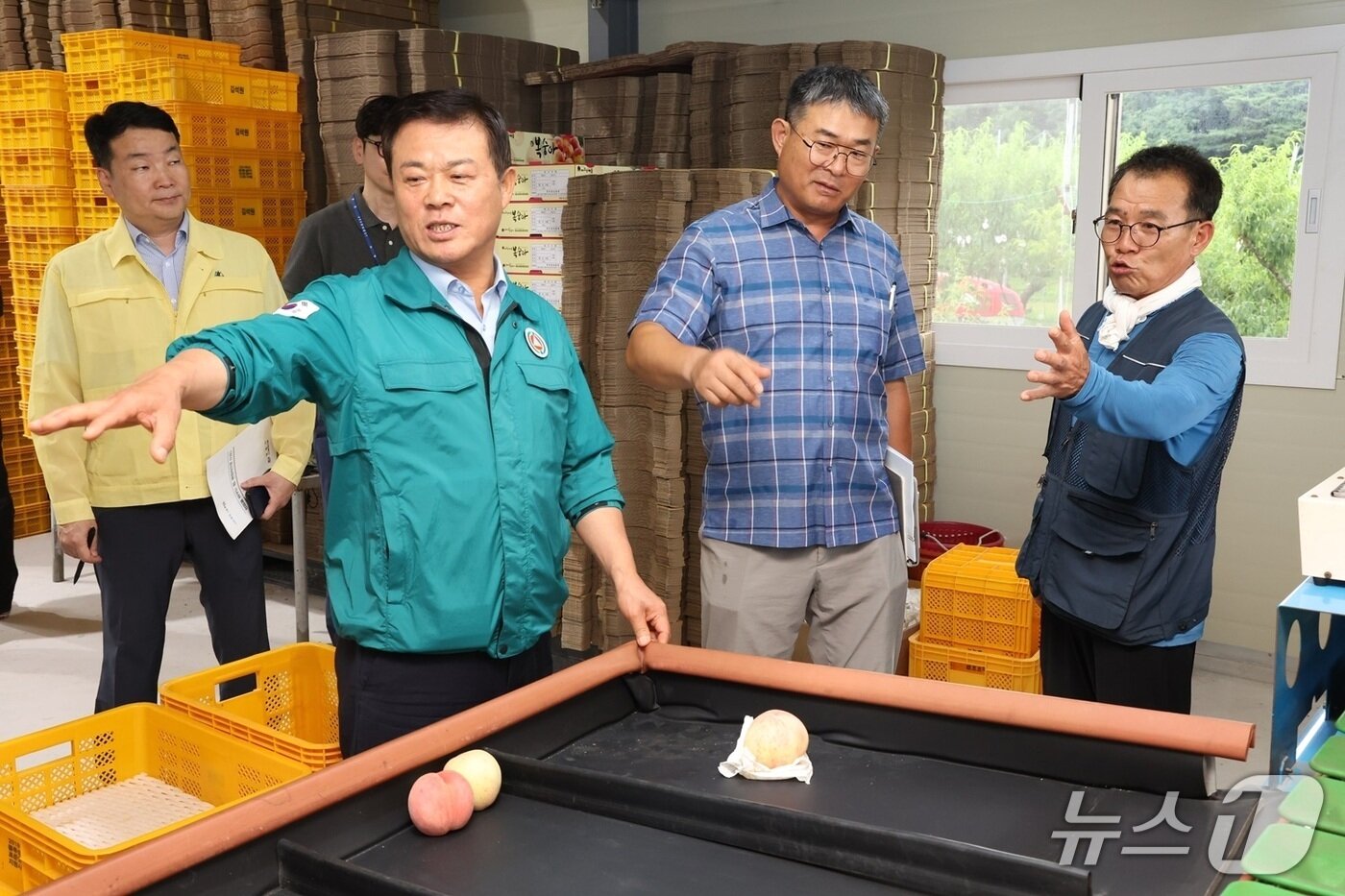 본문 이미지 -  지난 22일 관내 복숭아 재배 농가를 방문한 이학수 정읍시장이 반복되는 포장 작업에 따른 농민 들의 노동강도를 언급하며 작업 효율을 높일 수 있는 박스 지원 사업 적극 추진을 지시하고 있다.&#40;정읍시 제공. 재판매 및 DB금지&#41;/뉴스1
