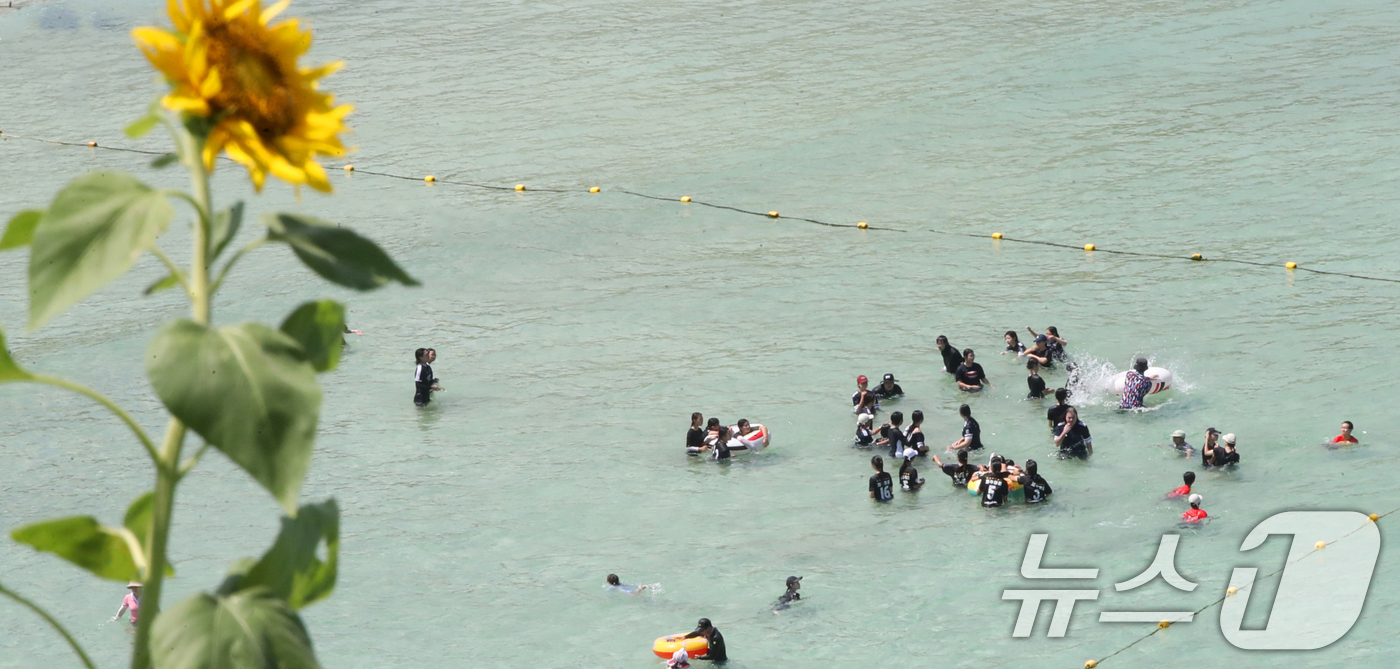 (제주=뉴스1) 오현지 기자 = 제주도 북부·남부·동부·서부·북부중산간에 폭염주의보가 내려진 23일 오전 제주시 조천읍 함덕해수욕장에서 피서객들이 더위를 쫓고 있다. 2025.7. …