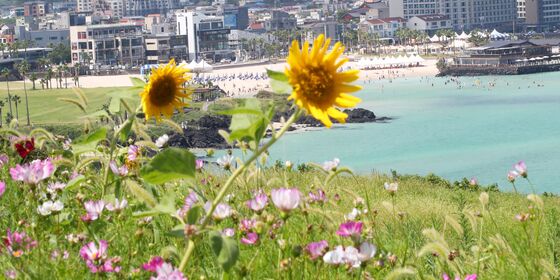 제주, 비 그치니 다시…북부·서부·동부 폭염주의보→폭염경보