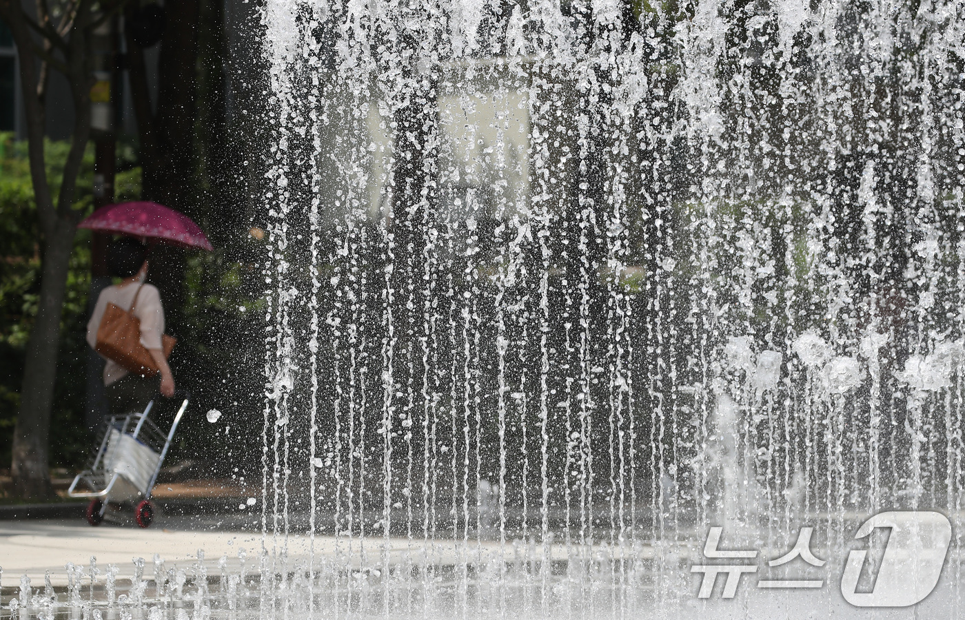 (대구=뉴스1) 공정식 기자 = 오전부터 폭염이 시작된 23일 대구 서구 서부도서관 앞 평리공원에서 양산을 쓴 시민이 바닥분수 물줄기 옆을 지나고 있다. 2025.7.23/뉴스1