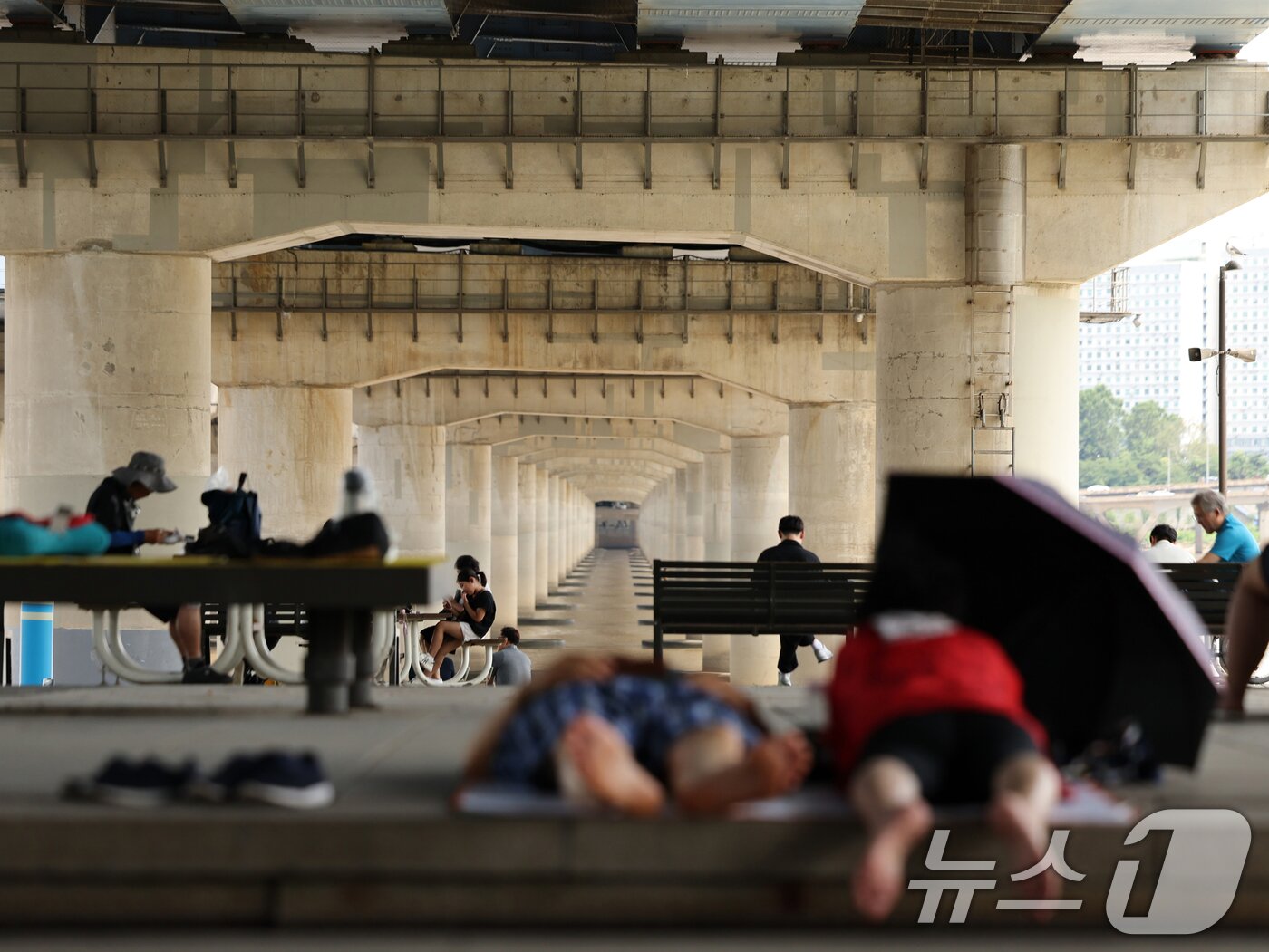 본문 이미지 - 전국 대부분 지역에 폭염특보가 발효중인 23일 서울 영등포구 여의도 한강공원에서 시민들이 그늘 아래서 더위를 식히고 있다. 2025.7.23/뉴스1 ⓒ News1 황기선 기자