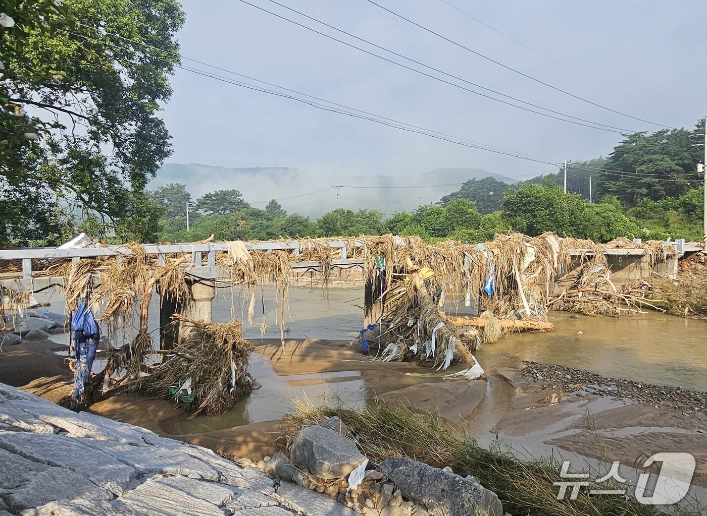 본문 이미지 - 23일 합천군 가회면 신등천의 다리에 잡목 등 이물질이 걸려 있다. 2025.7.23/뉴스1 한송학기자